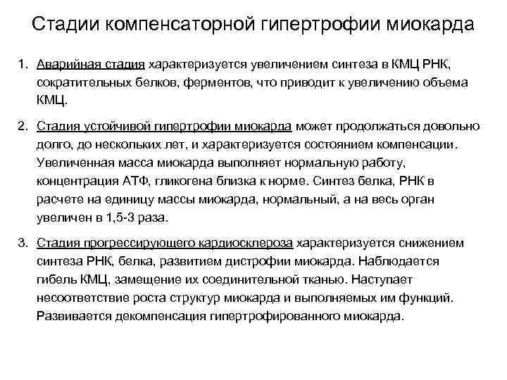 Стадии компенсаторной гипертрофии миокарда 1. Аварийная стадия характеризуется увеличением синтеза в КМЦ РНК, сократительных