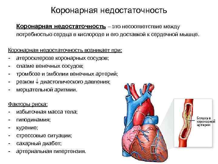 Коронарная недостаточность – это несоответствие между потребностью сердца в кислороде и его доставкой к