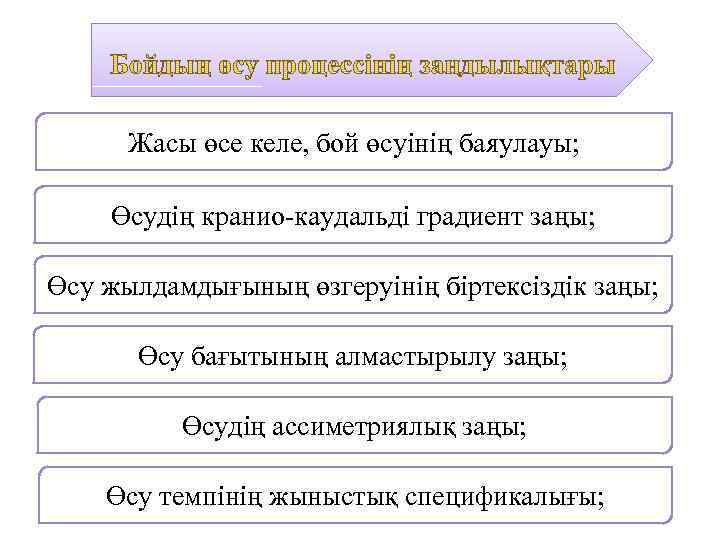 Жасы өсе келе, бой өсуінің баяулауы; Өсудің кранио-каудальді градиент заңы; Өсу жылдамдығының өзгеруінің біртексіздік