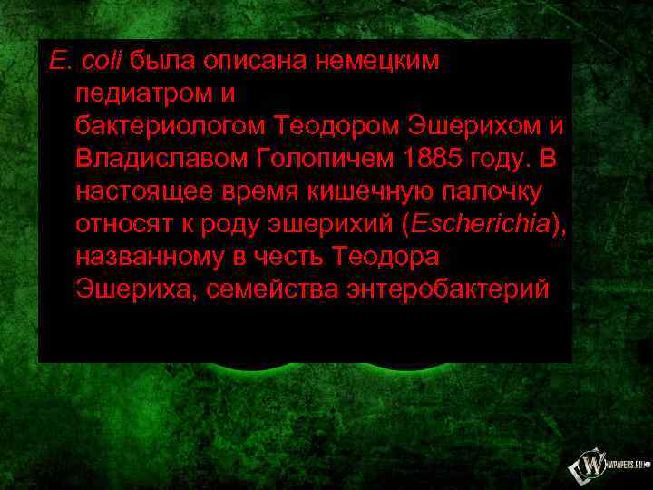 E. coli была описана немецким педиатром и бактериологом Теодором Эшерихом и Владиславом Голопичем 1885