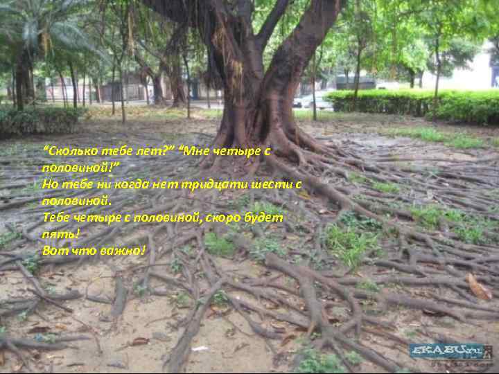 “Сколько тебе лет? ” “Мне четыре с половиной!” Но тебе ни когда нет тридцати