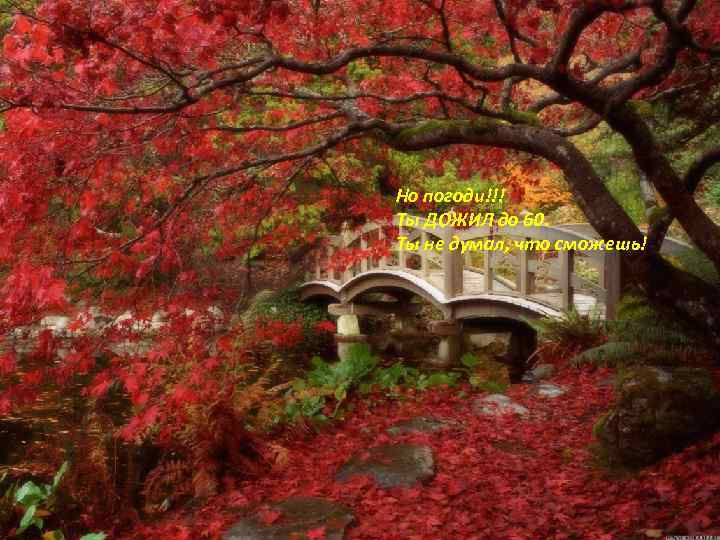 Но погоди!!! Ты ДОЖИЛ до 60. Ты не думал, что сможешь! 