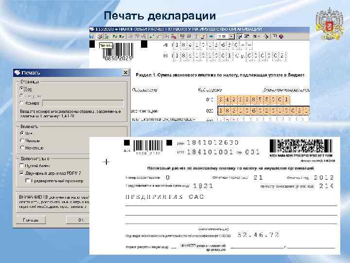 Печать декларации 