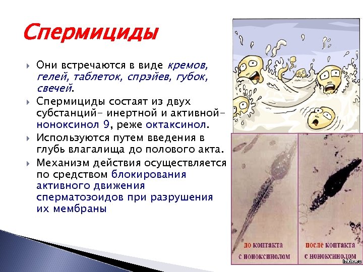 Спермициды Они встречаются в виде кремов, гелей, таблеток, спрэйев, губок, свечей. Спермициды состаят из