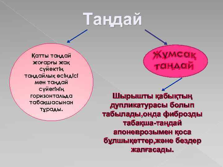 Таңдай Қатты таңдай жоғарғы жақ сүйектің таңдайлық өсіндісі мен таңдай сүйегінің горизонтальда табақшасынан тұрады.