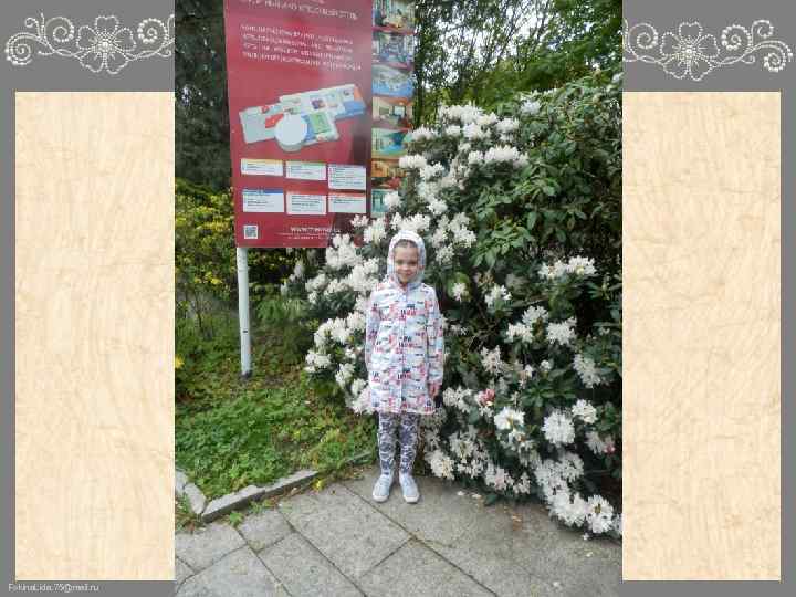 Fokina. Lida. 75@mail. ru 