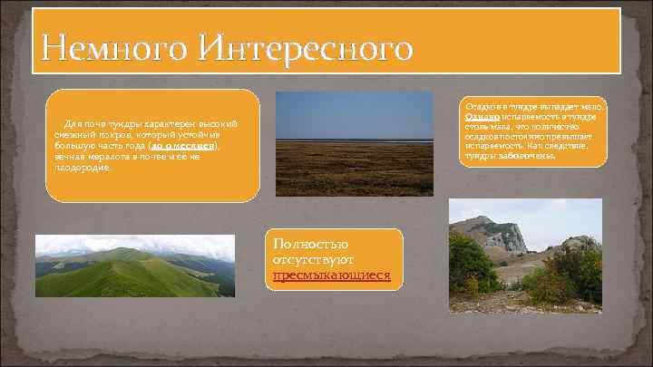 Немного Интересного Осадков в тундре выпадает мало. Однако испаряемость в тундре столь мала, что
