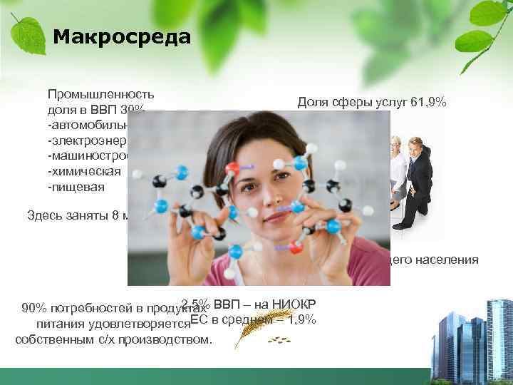 Макросреда Промышленность доля в ВВП 30% -автомобильная -электроэнергетика -машиностроением -химическая -пищевая Доля сферы услуг