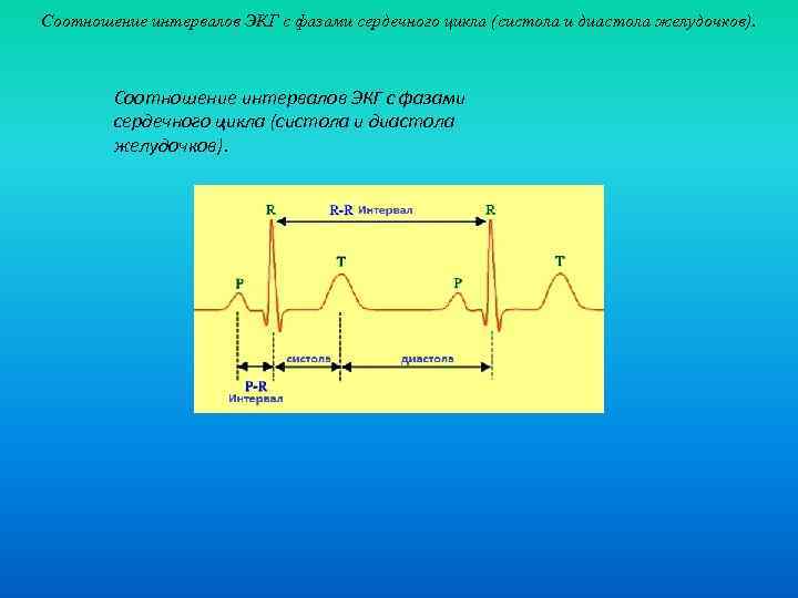 Соотношение интервалов ЭКГ с фазами сердечного цикла (систола и диастола желудочков). 
