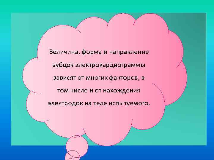 Величина, форма и направление зубцов электрокардиограммы зависят от многих факторов, в том числе и
