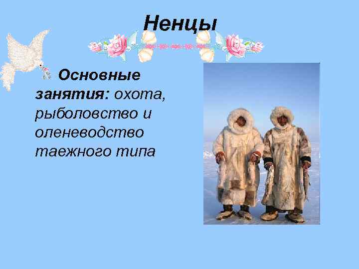 Ненцы Основные занятия: охота, рыболовство и оленеводство таежного типа 