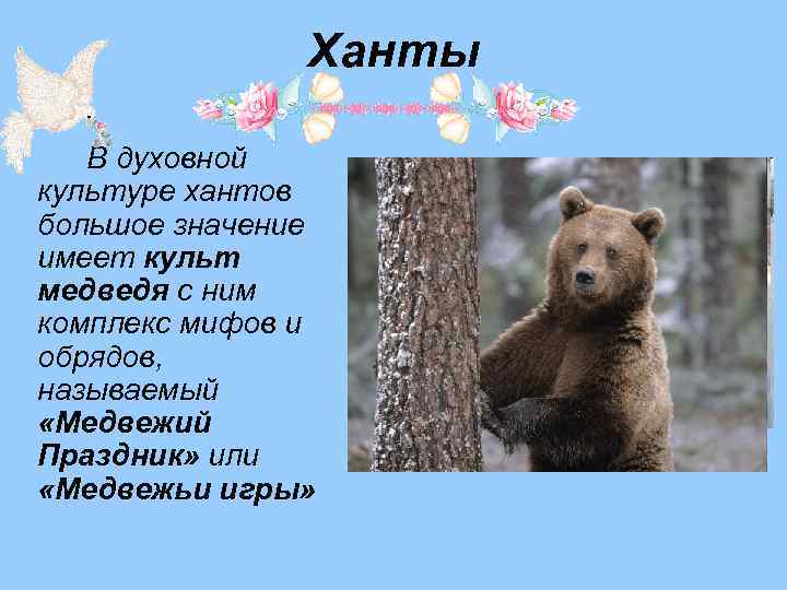 Ханты В духовной культуре хантов большое значение имеет культ медведя с ним комплекс мифов