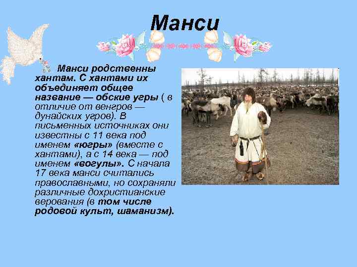 Манси родственны хантам. С хантами их объединяет общее название — обские угры ( в