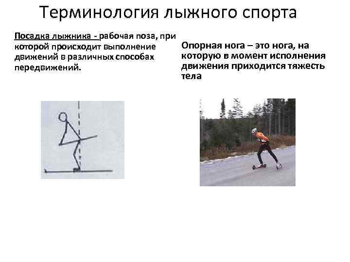 Терминология лыжного спорта Посадка лыжника - рабочая поза, при Опорная нога – это нога,