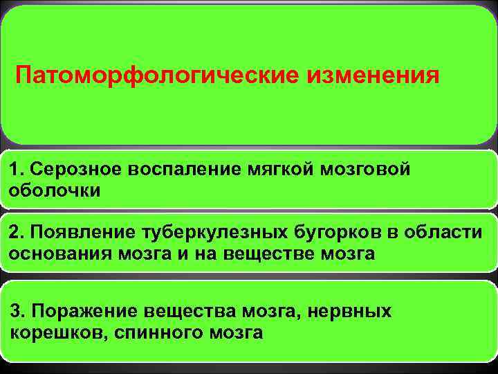 Патоморфологические изменения 1. Серозное воспаление мягкой мозговой оболочки 2. Появление туберкулезных бугорков в области