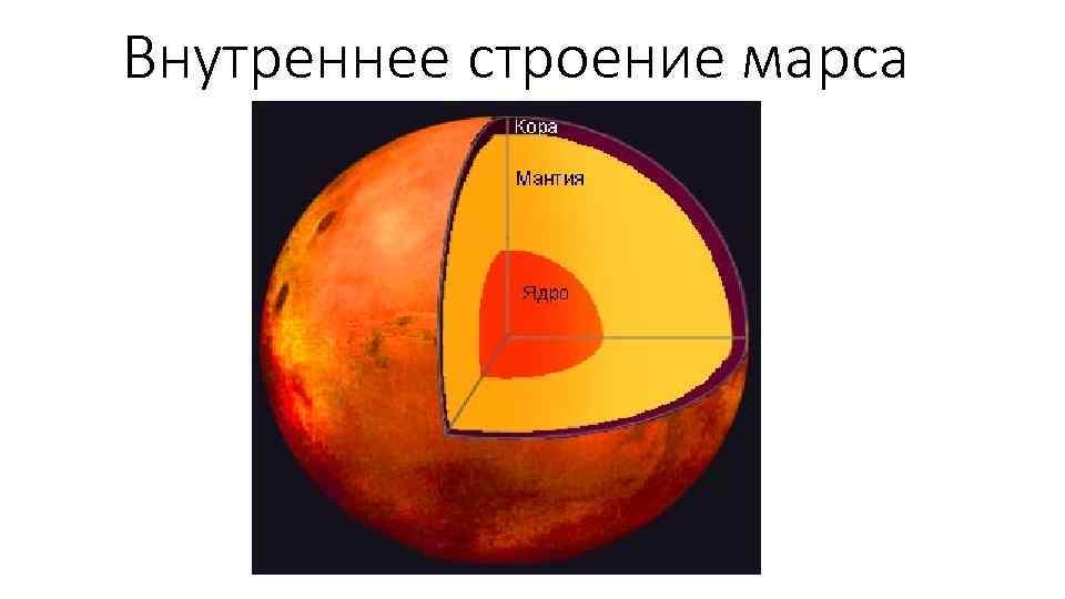 Строение марса картинка