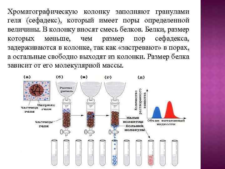 Хроматографическая колонка фото