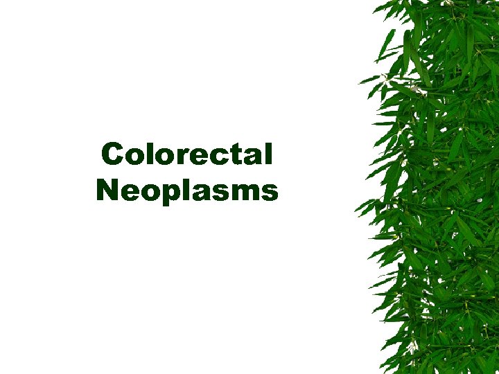 Colorectal Neoplasms 