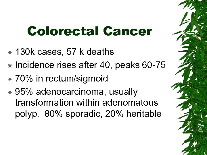 Colorectal Cancer 130 k cases, 57 k deaths Incidence rises after 40, peaks 60