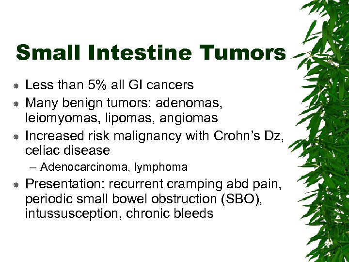 Small Intestine Tumors Less than 5% all GI cancers Many benign tumors: adenomas, leiomyomas,