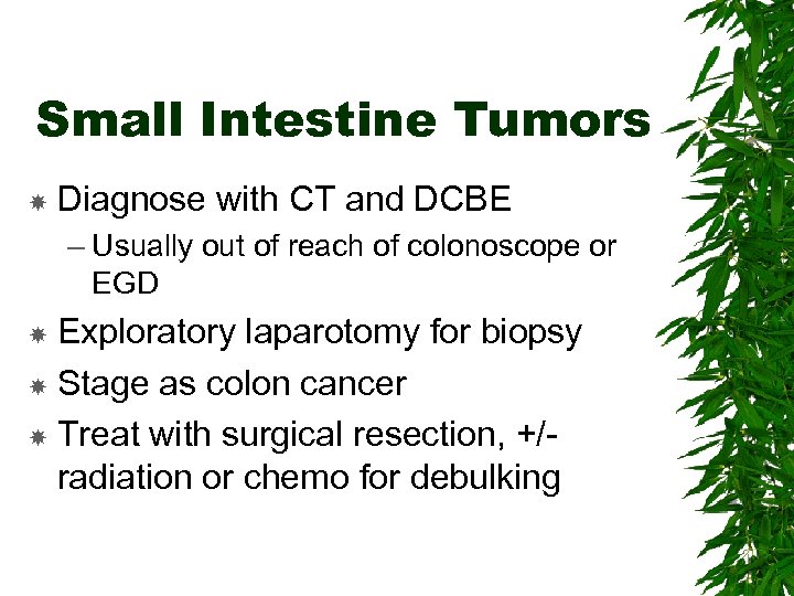 Small Intestine Tumors Diagnose with CT and DCBE – Usually out of reach of