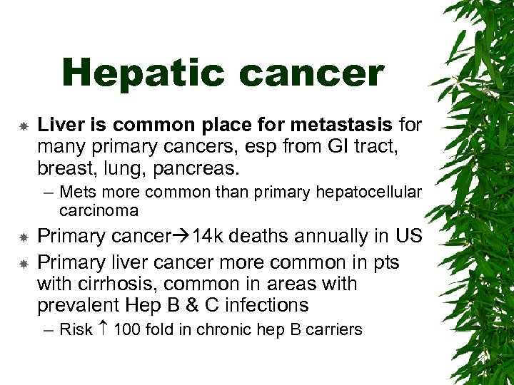 Hepatic cancer Liver is common place for metastasis for many primary cancers, esp from