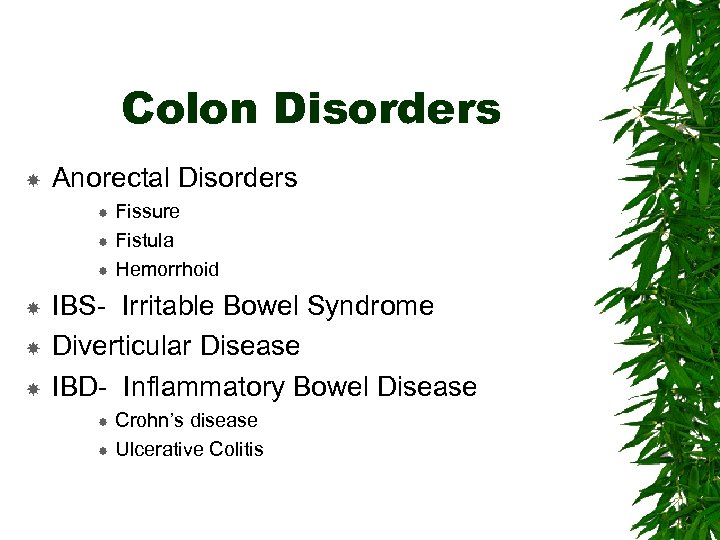 Colon Disorders Anorectal Disorders Fissure Fistula Hemorrhoid IBS- Irritable Bowel Syndrome Diverticular Disease IBD-