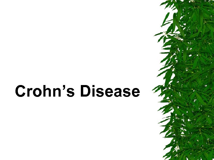 Crohn’s Disease 