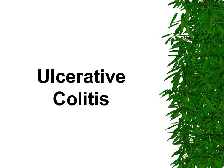 Ulcerative Colitis 