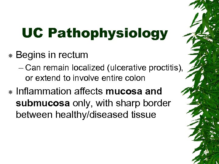 UC Pathophysiology Begins in rectum – Can remain localized (ulcerative proctitis), or extend to