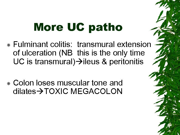 More UC patho Fulminant colitis: transmural extension of ulceration (NB this is the only