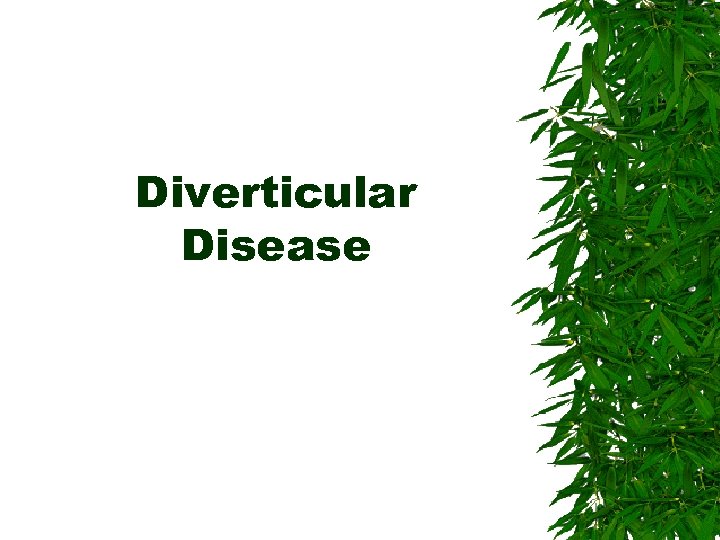 Diverticular Disease 