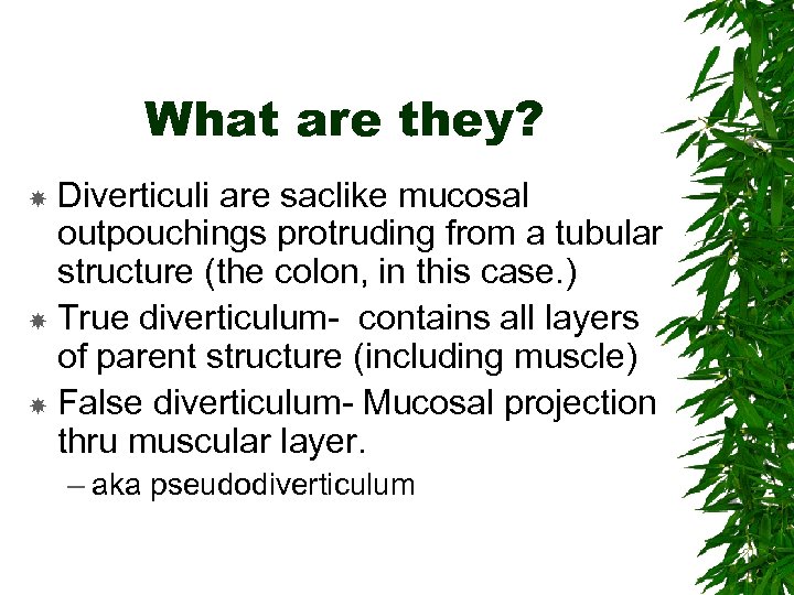 What are they? Diverticuli are saclike mucosal outpouchings protruding from a tubular structure (the