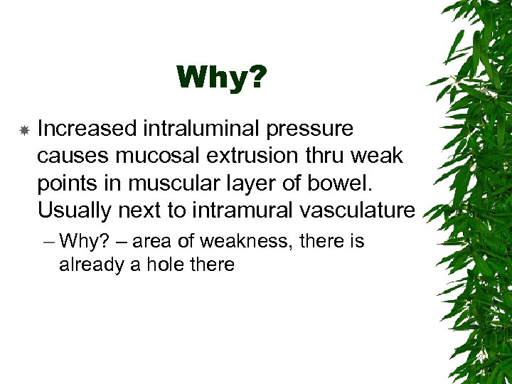 Why? Increased intraluminal pressure causes mucosal extrusion thru weak points in muscular layer of