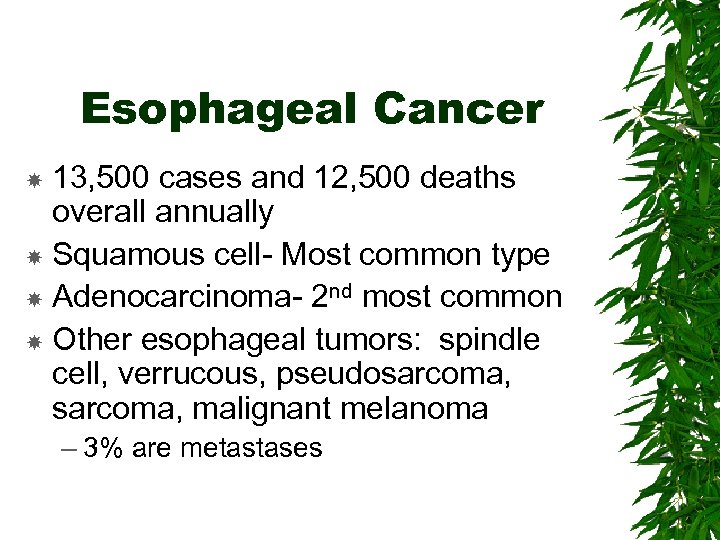 Esophageal Cancer 13, 500 cases and 12, 500 deaths overall annually Squamous cell- Most