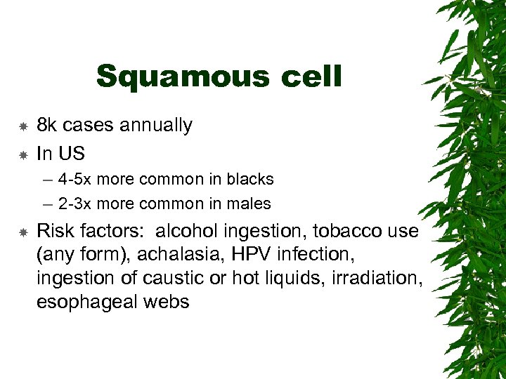 Squamous cell 8 k cases annually In US – 4 -5 x more common