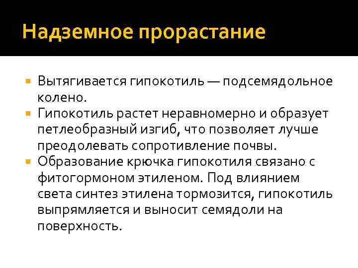 Надземное прорастание Вытягивается гипокотиль — подсемядольное колено. Гипокотиль растет неравномерно и образует петлеобразный изгиб,