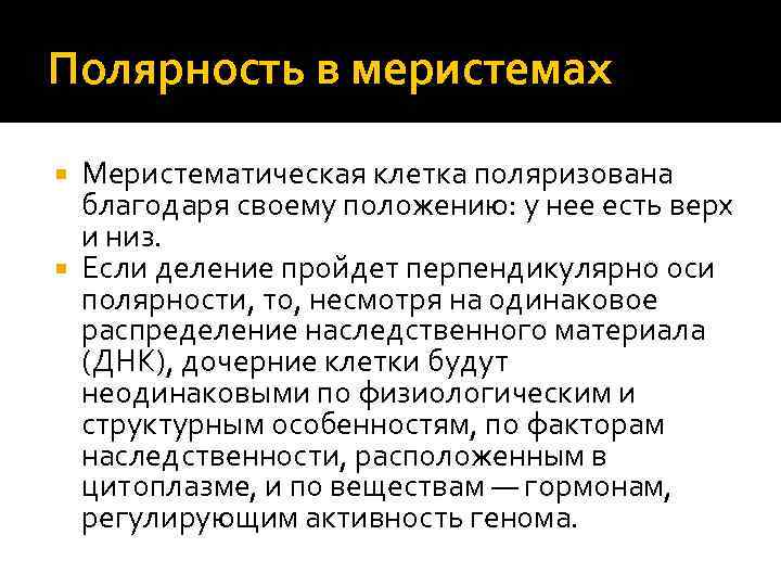Полярность в меристемах Меристематическая клетка поляризована благодаря своему положению: у нее есть верх и