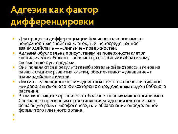 Адгезия как фактор дифференцировки Для процесса дифференциации большое значение имеют поверхностные свойства клеток, т.