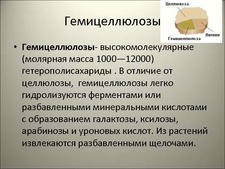 Гемицеллюлозы • Гемицеллюлозы- высокомолекулярные (молярная масса 1000— 12000) гетерополисахариды. В отличие от целлюлозы, гемицеллюлозы
