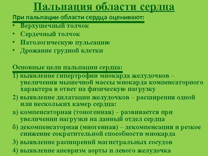 Пальпация области сердца При пальпации области сердца оценивают: • Верхушечный толчок • Сердечный толчок