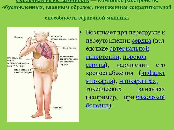 Серде чная недоста точность — комплекс расстройств, обусловленных, главным образом, понижением сократительной способности сердечной