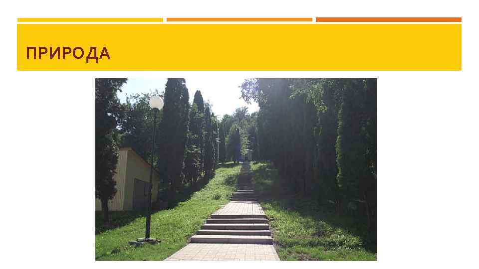 ПРИРОДА 
