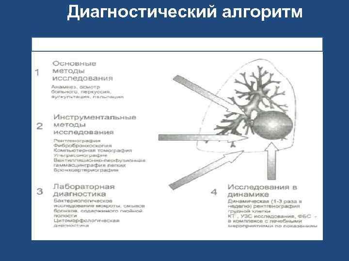 Диагностический алгоритм 