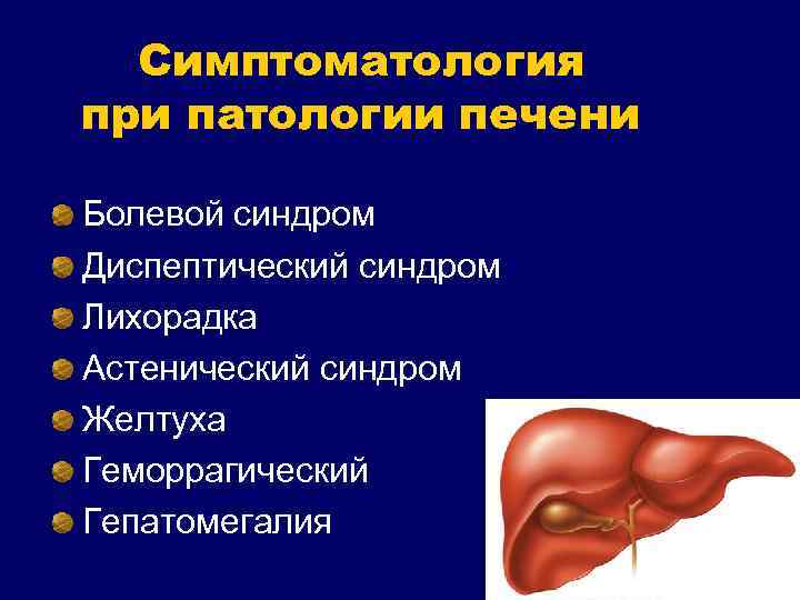 Симптоматология при патологии печени Болевой синдром Диспептический синдром Лихорадка Астенический синдром Желтуха Геморрагический Гепатомегалия