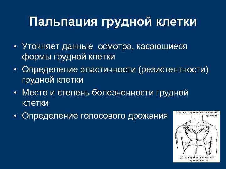 Пальпация грудной клетки • Уточняет данные осмотра, касающиеся формы грудной клетки • Определение эластичности