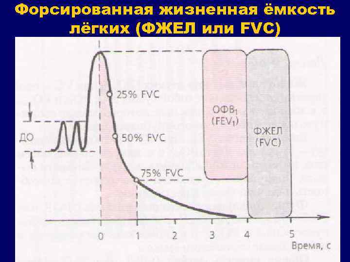 Схема жизненная емкость земли