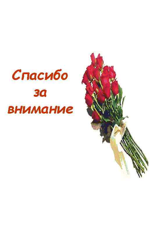 Спасибо за внимание 