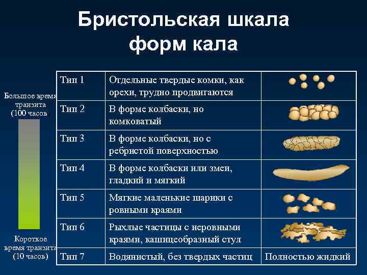 Бристольская шкала форм кала Тип 1 В форме колбаски, но комковатый В форме колбаски,