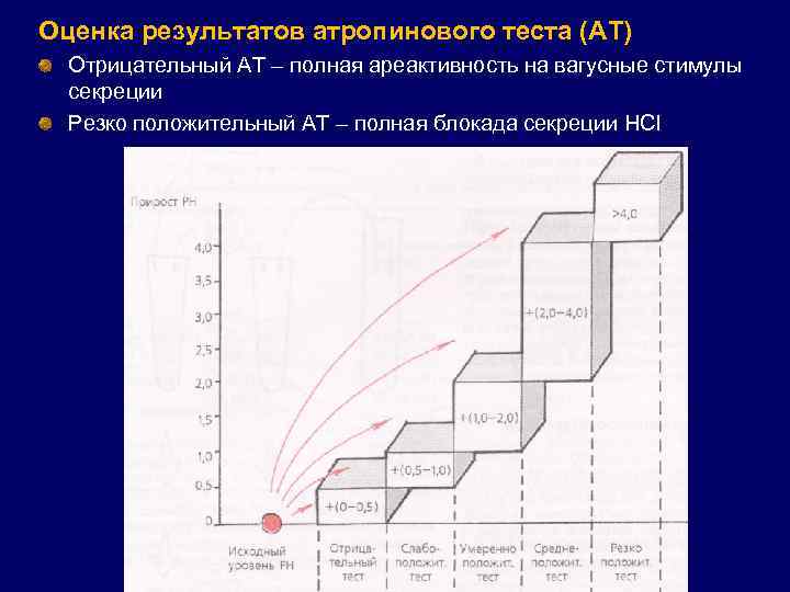 Оценка результатов атропинового теста (АТ) Отрицательный АТ – полная ареактивность на вагусные стимулы секреции